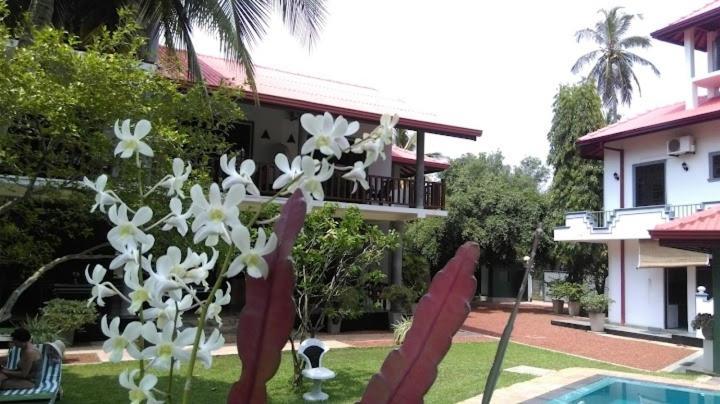 بينتوتا Canal Villa المظهر الخارجي الصورة