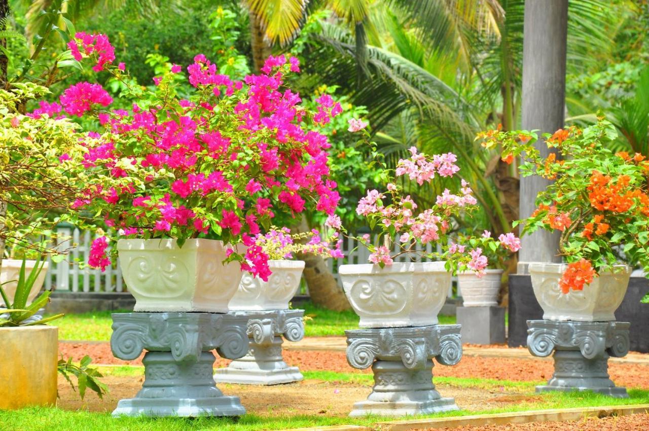 بينتوتا Canal Villa المظهر الخارجي الصورة